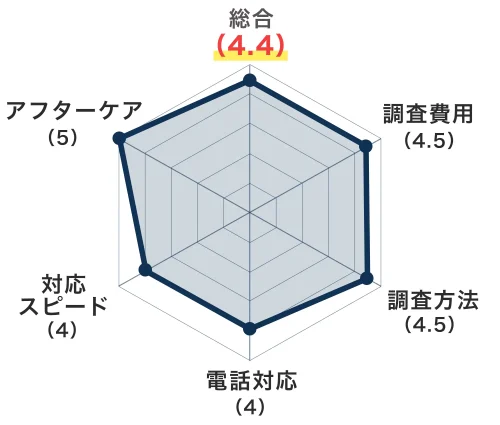 レーダーチャート
