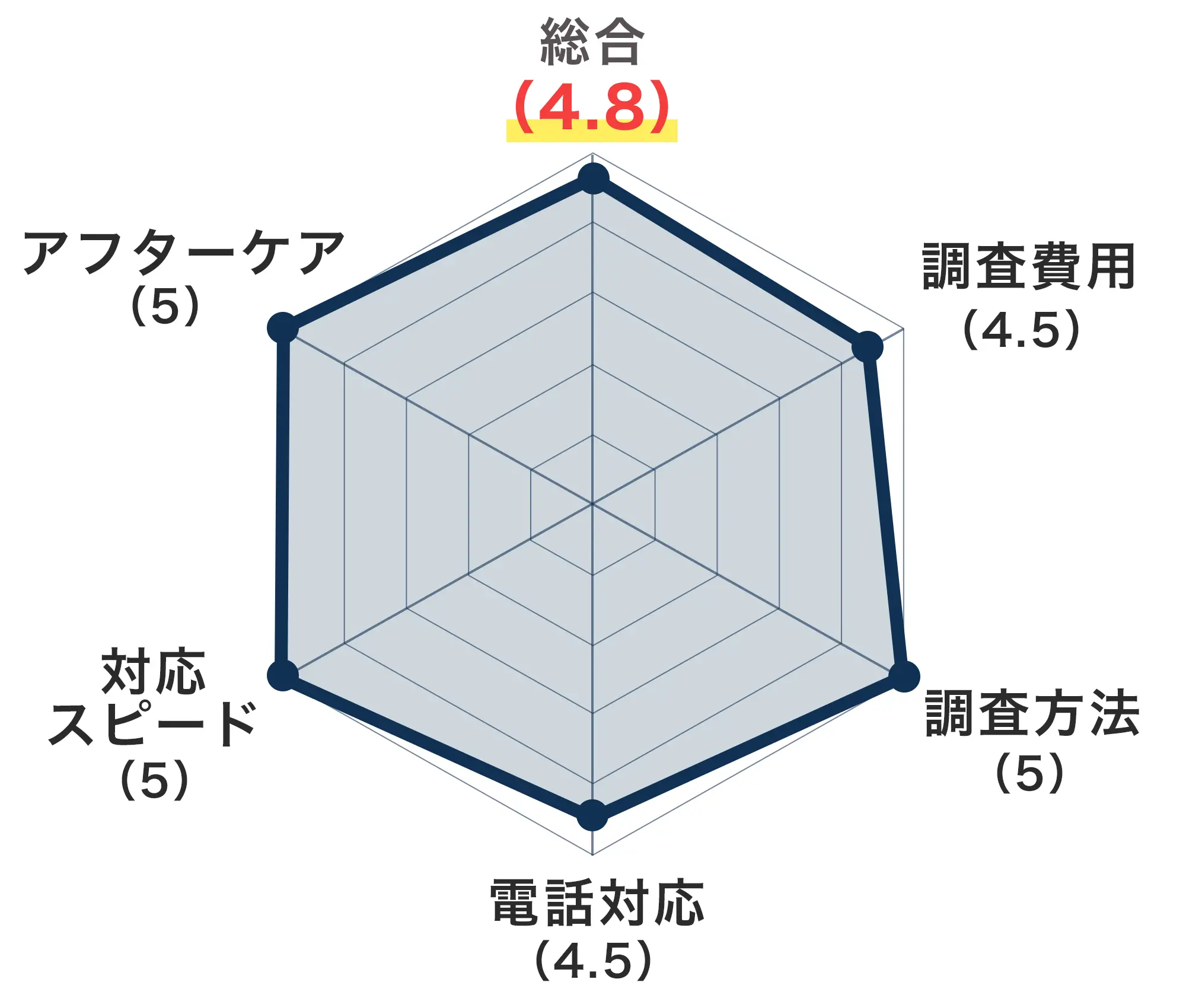 レーダーチャート